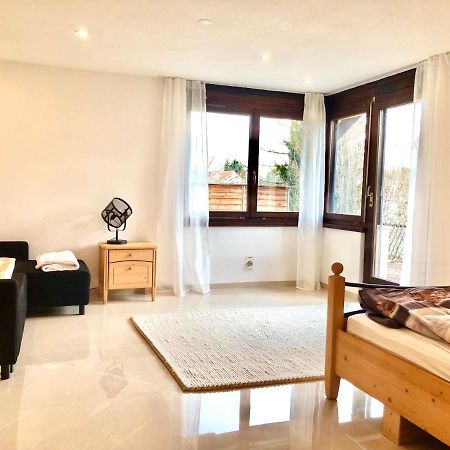 Big Apartment With Garden Rapperswil-Jona Buitenkant foto