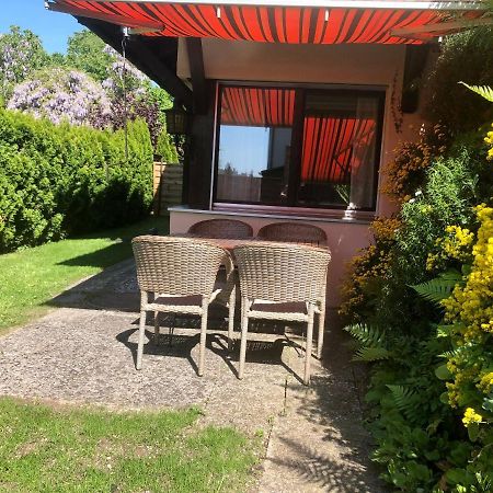 Big Apartment With Garden Rapperswil-Jona Buitenkant foto